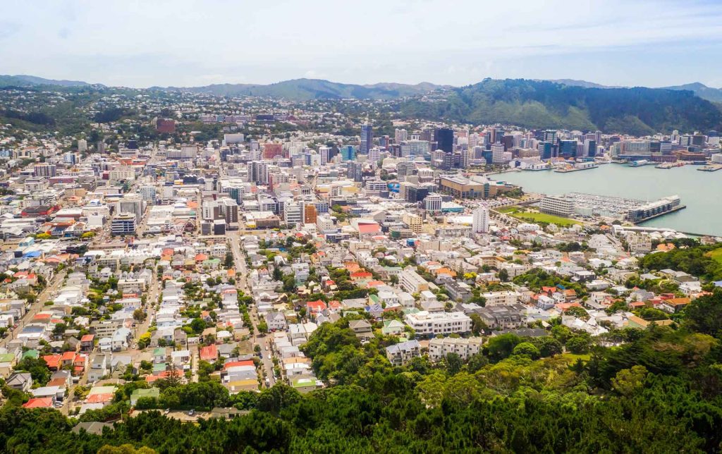 View of residential homes in Wellington from above